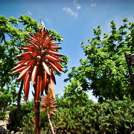 Masseria Pitanni Séjour à la campagne Gallipoli