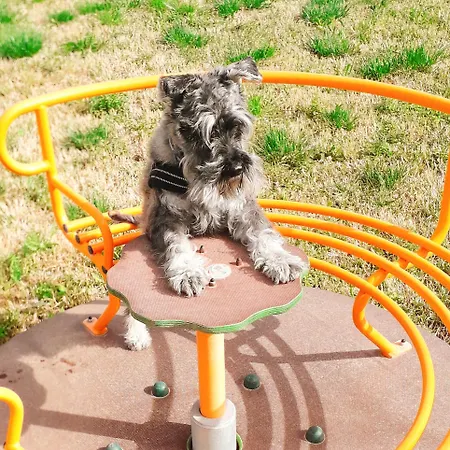 Літній будинок Masseria Pitanni *