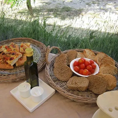 Gospodarstwo wiejskie Masseria Pitanni