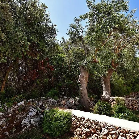 Landhaus Masseria Pitanni *