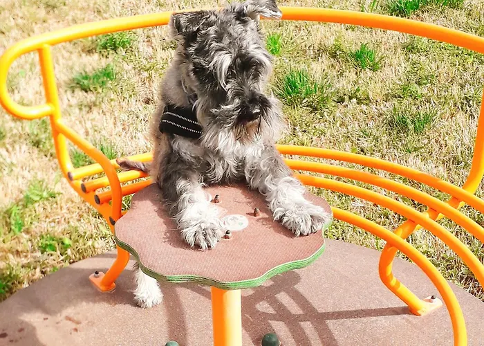 Casa rural Masseria Pitanni *