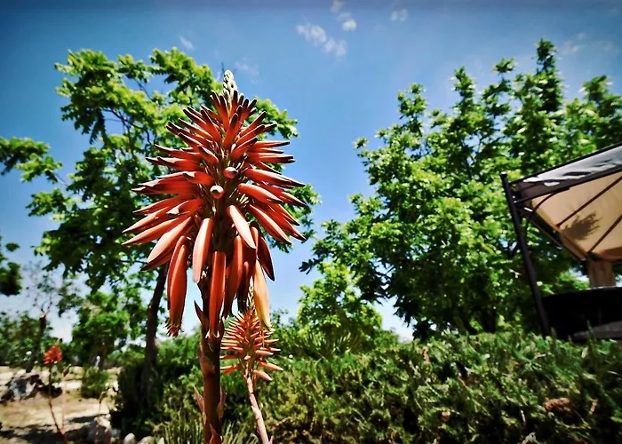 Masseria Pitanni Gallipoli